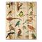 Designart - Vibrant Colored Birds Plancard - Traditional Print on Natural Pine Wood